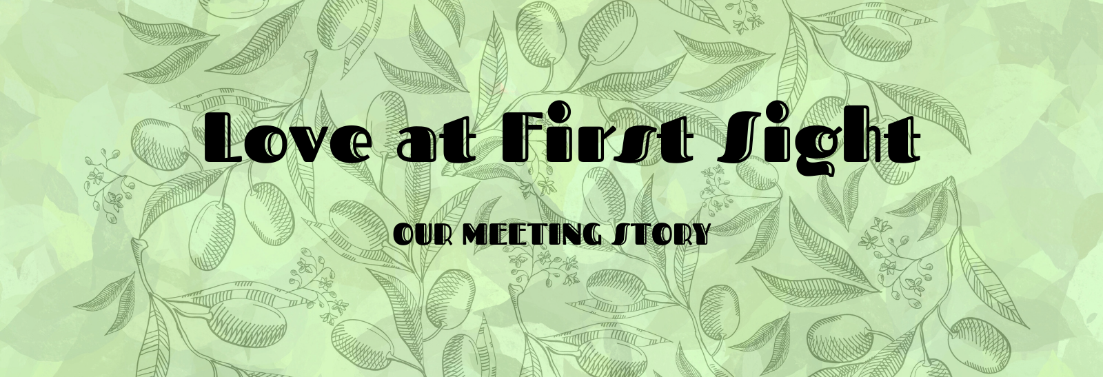 OUR MEETING STORY – Love at First Sight