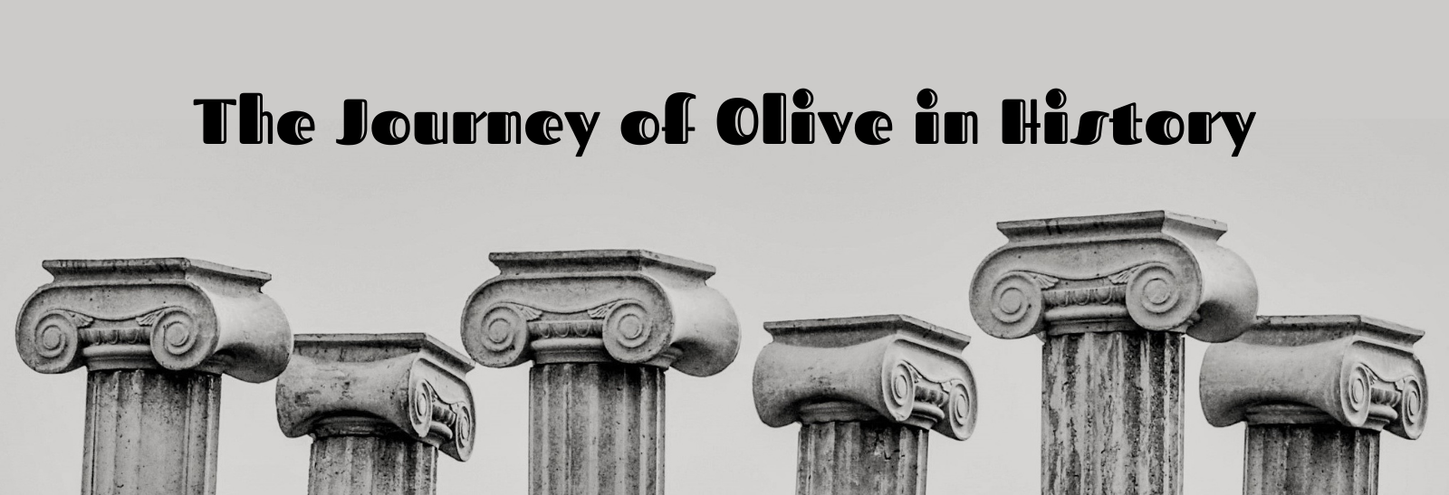 The Journey of Olive in History