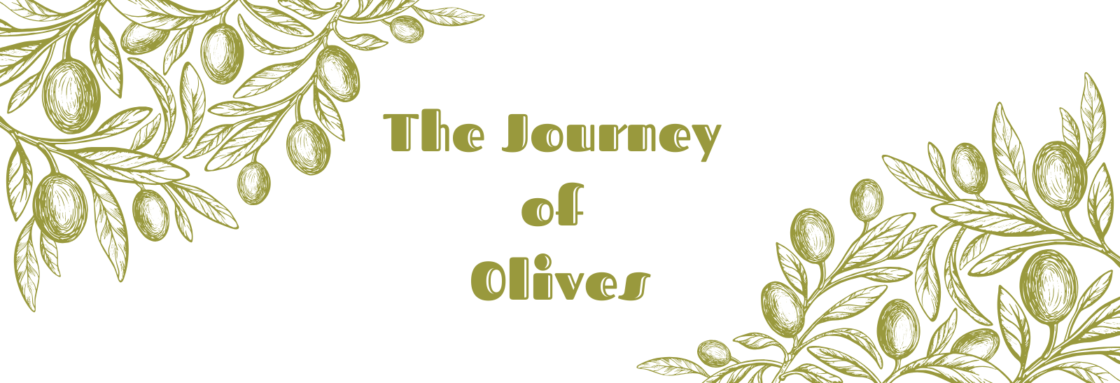 The Journey of Olives